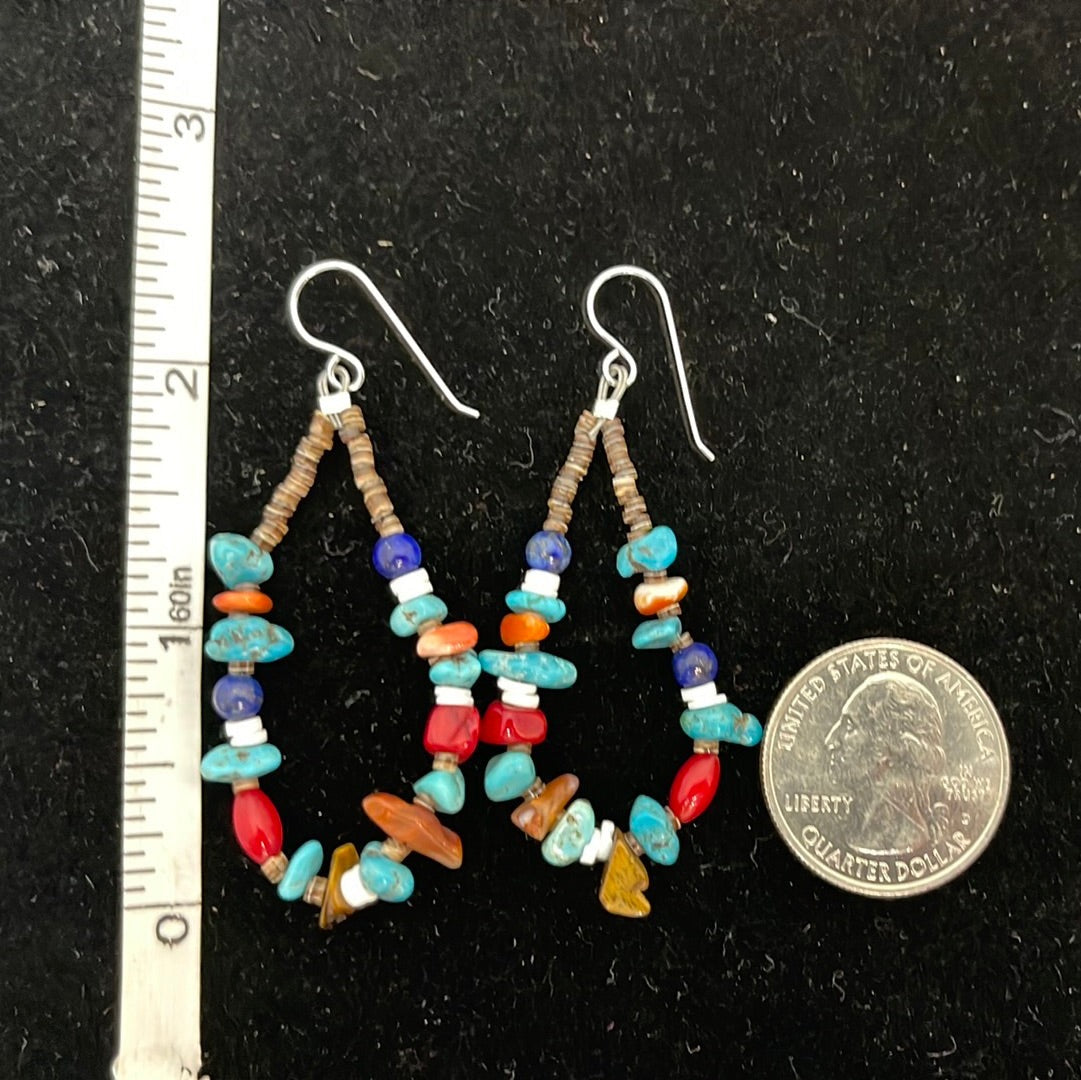 Amber, Coral, Clam Shell, Lapis. Turquoise, and Pin Shell on Hook Earrings