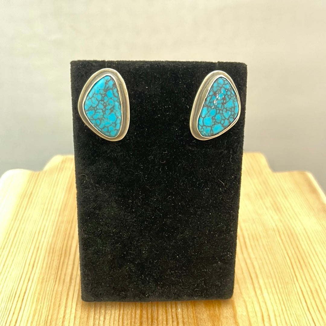 Egyptian Turquoise Post Earrings