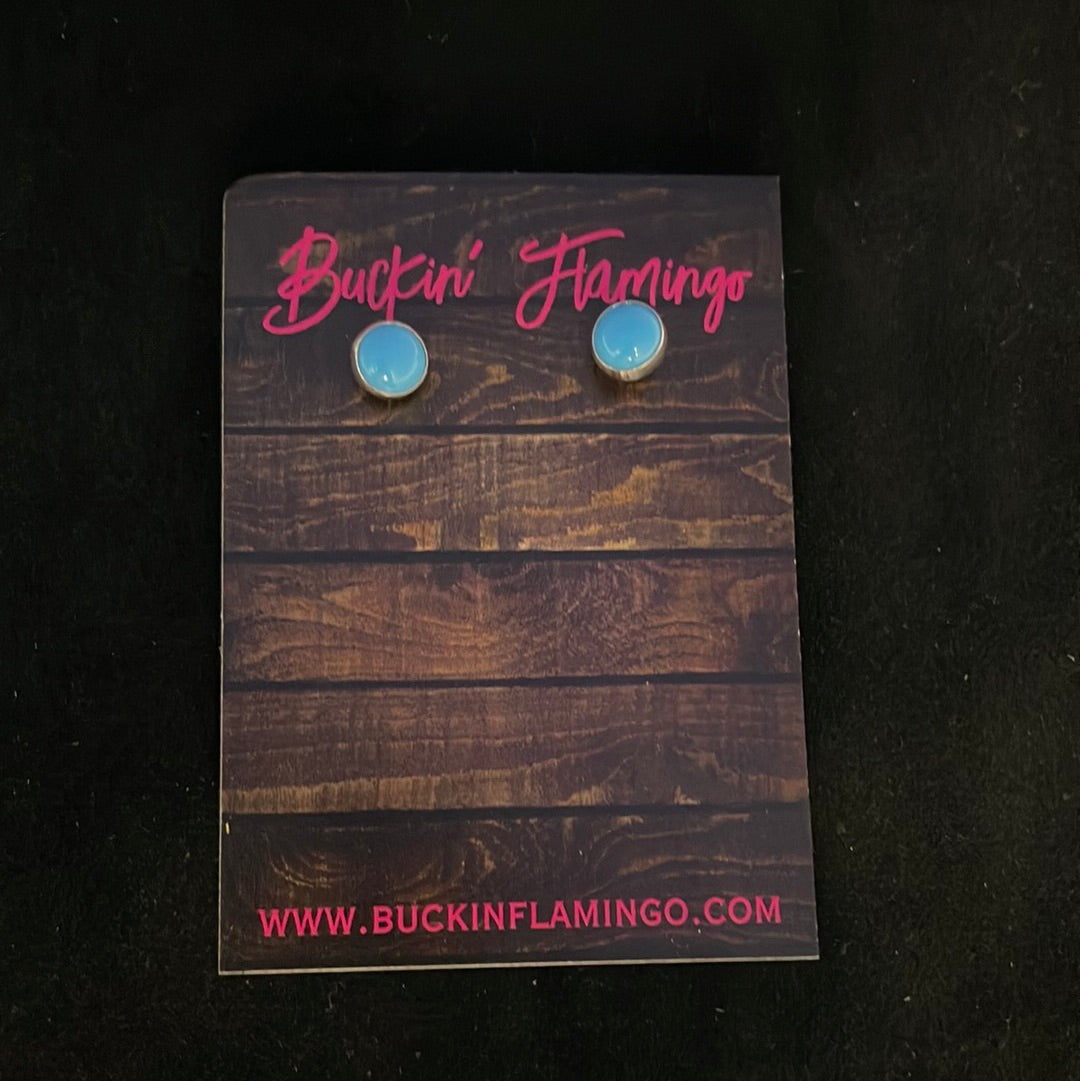 Sleeping Beauty Turquoise Post Earrings
