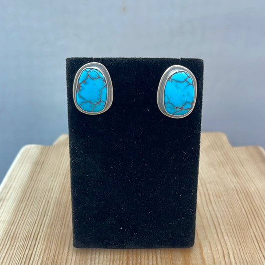 Egyptian Turquoise Post Earrings