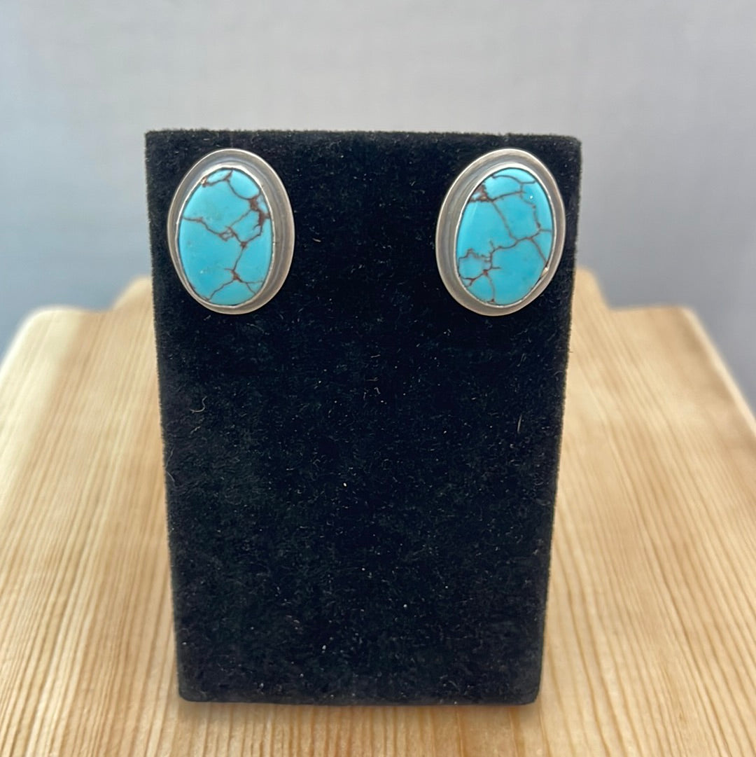 Egyptian Turquoise Oval Post Earrings
