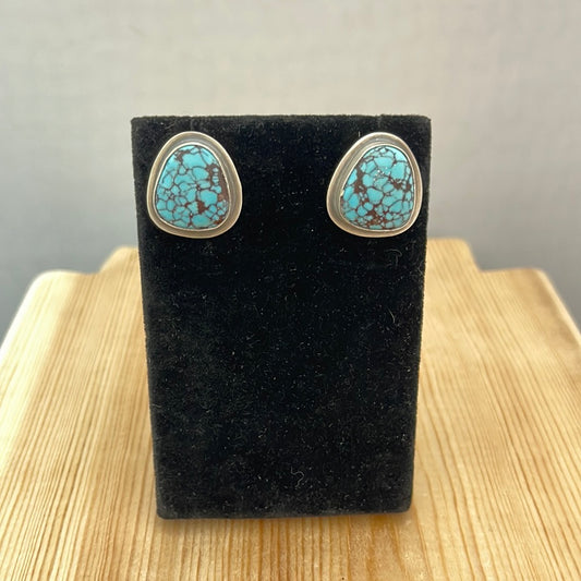 Egyptian Turquoise Post Earrings